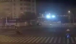 吃瓜最新事件爆料宁德,吃瓜群众揭秘最新事件内幕